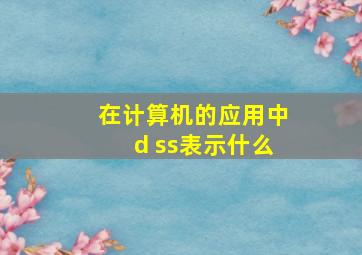 在计算机的应用中d ss表示什么